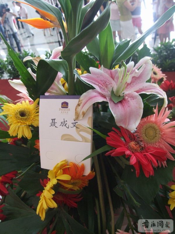 DSCF6785.JPG