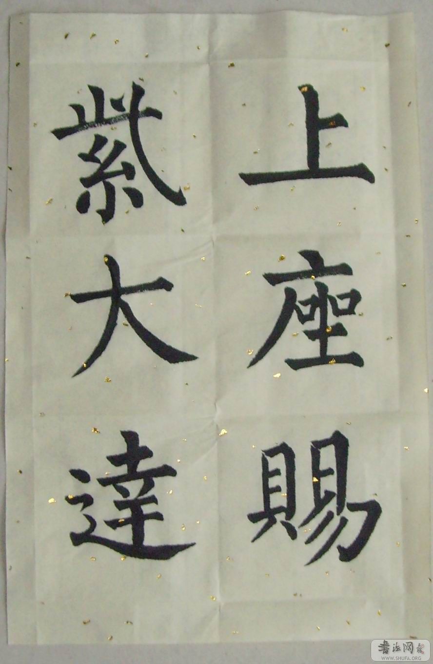 SNV30037.jpg