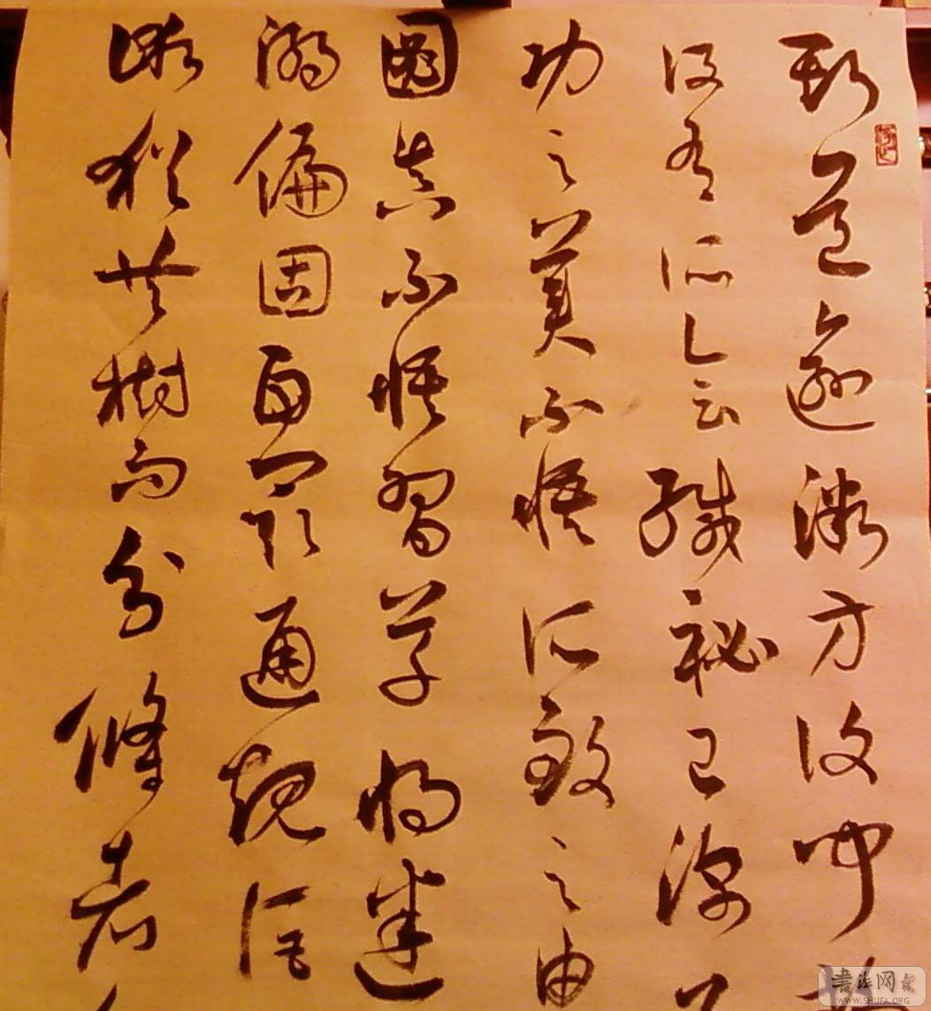 SP_A0195.jpg