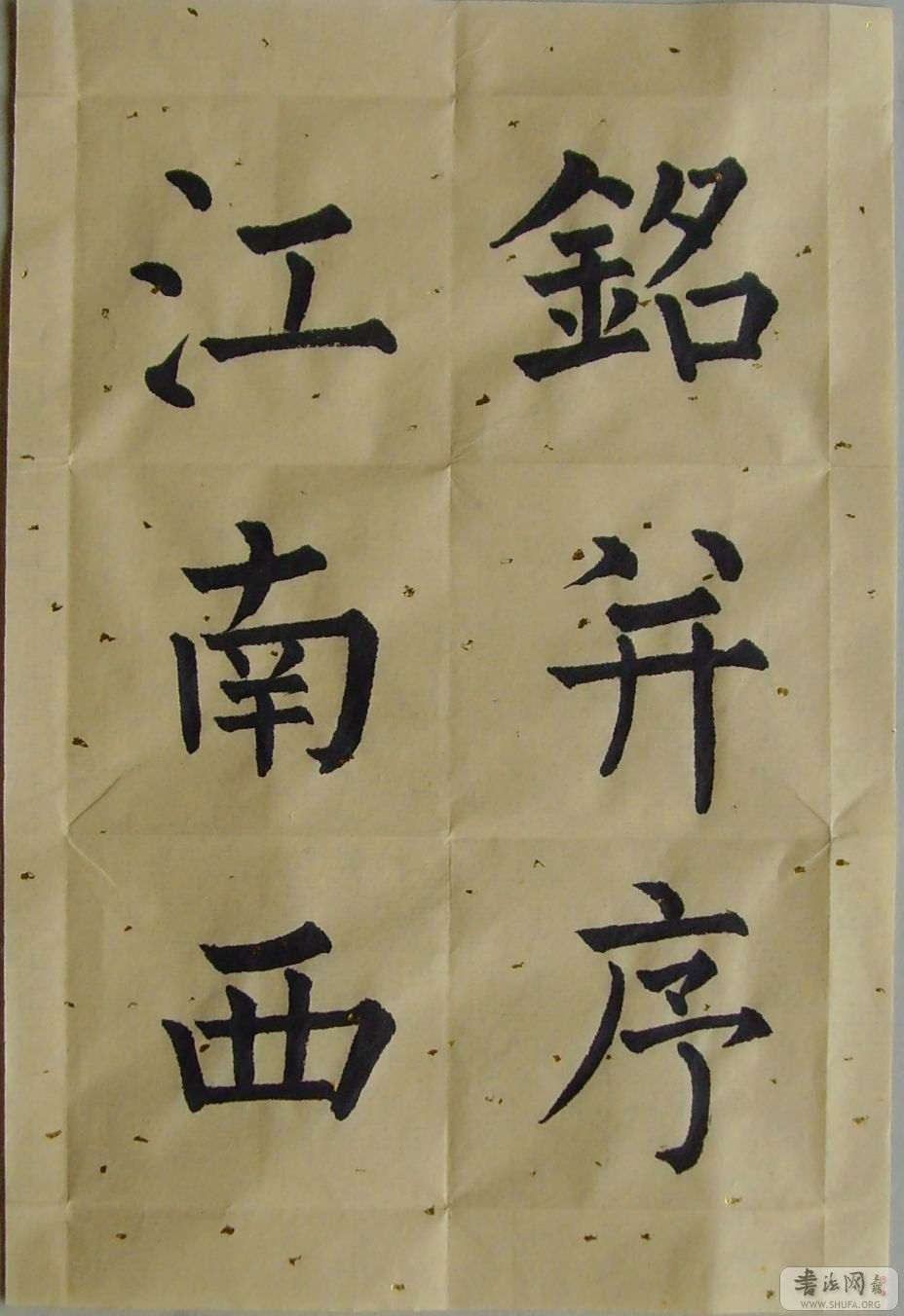 SNV30041.jpg