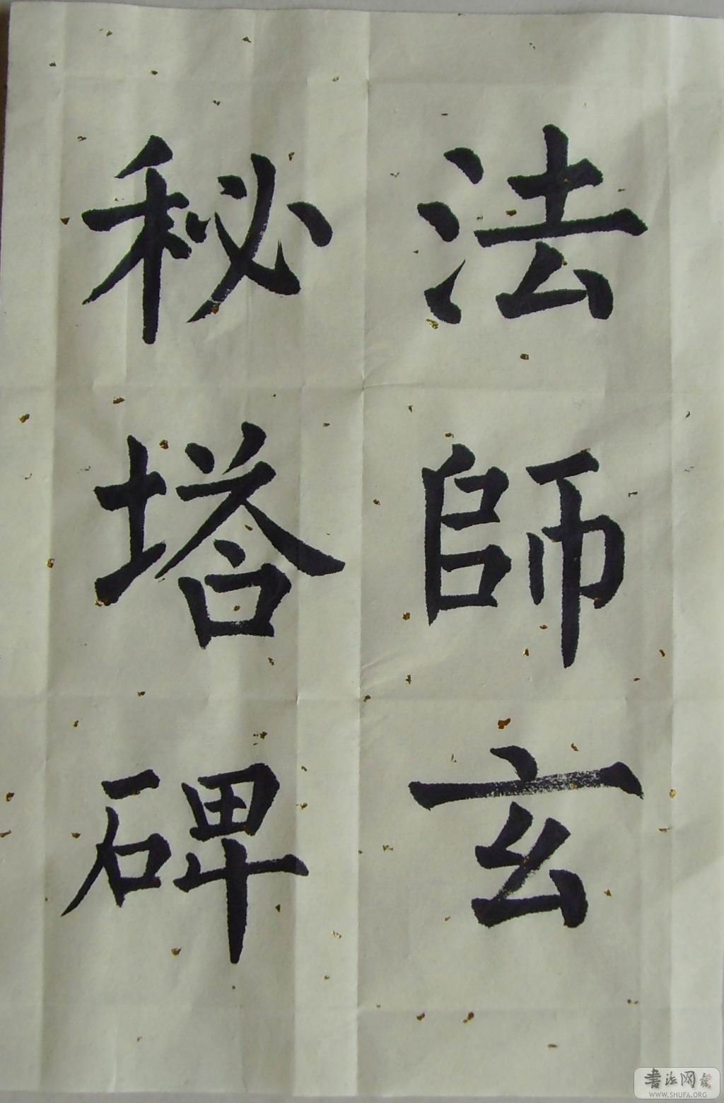 SNV30040.jpg