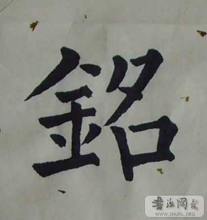 SNV30055.jpg