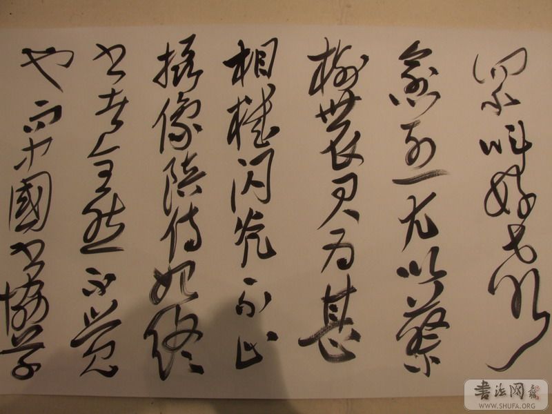 DSCF7031.JPG