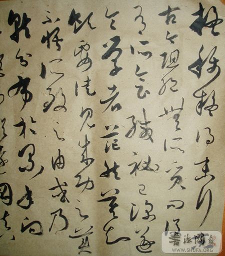 P1010138.JPG