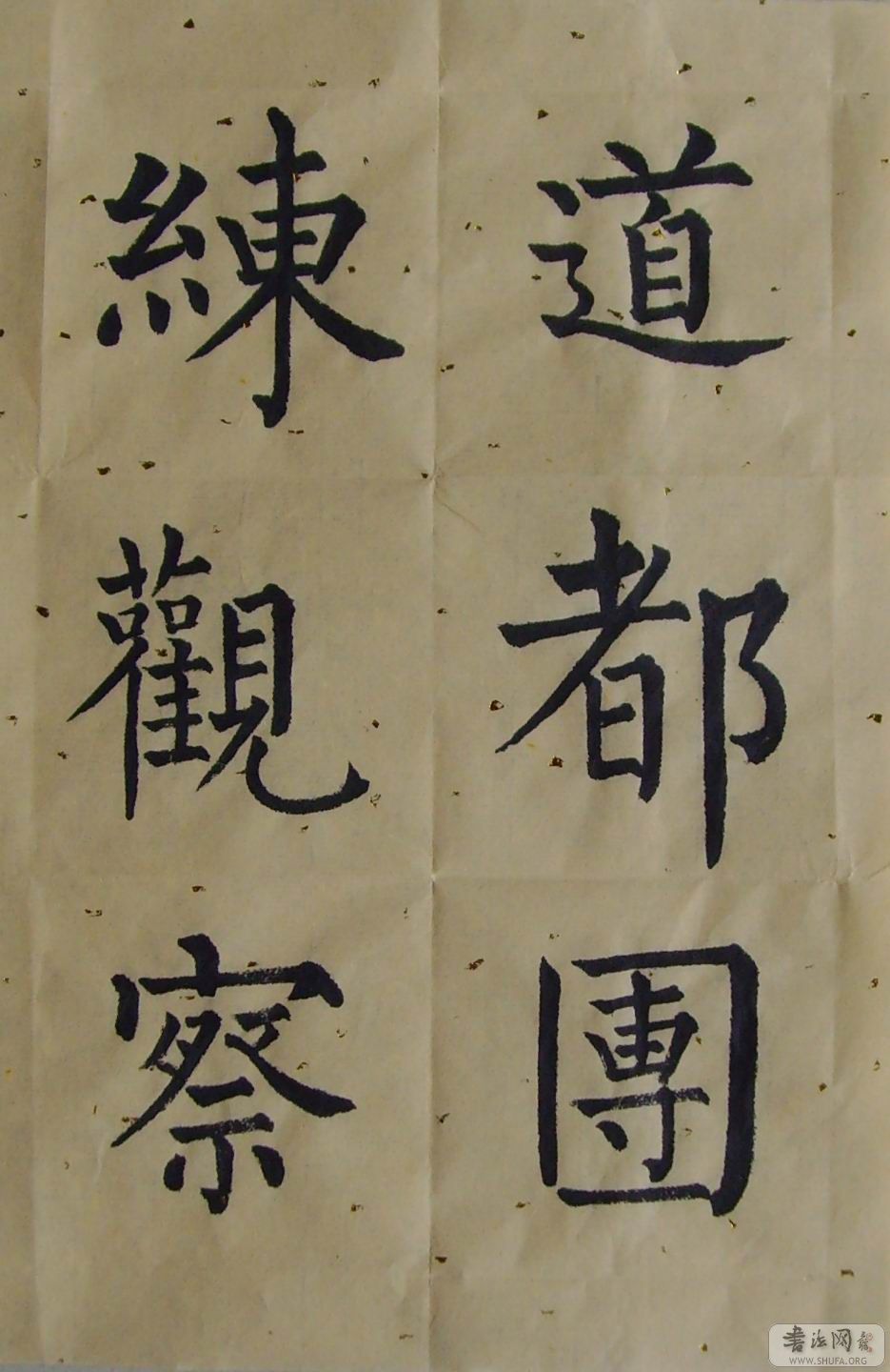 SNV30043.jpg