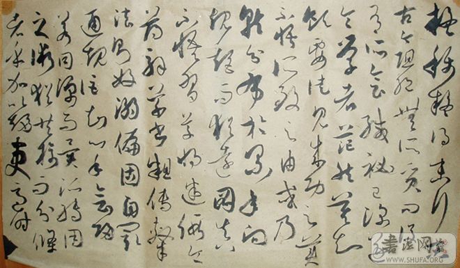 P1010141.JPG