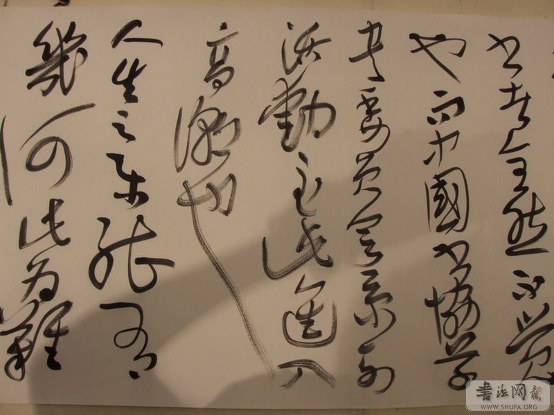 DSCF7032.JPG