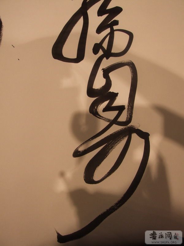 DSCF6993.JPG