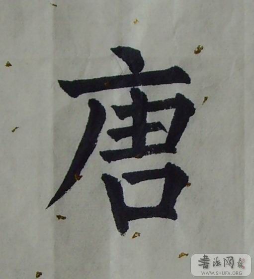 SNV30049.jpg