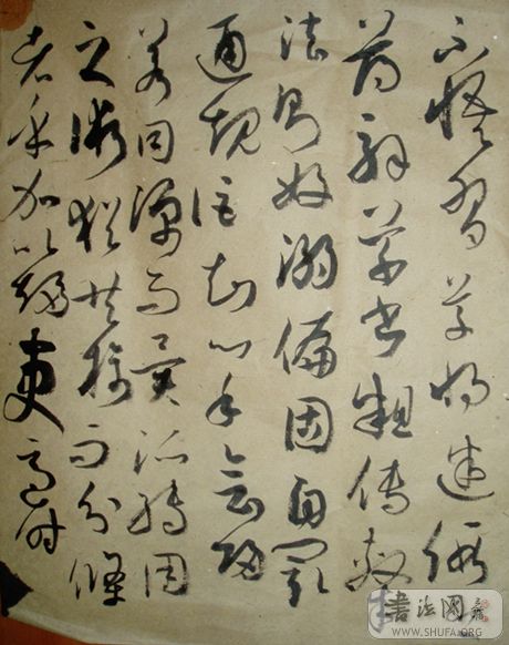 P1010140.JPG