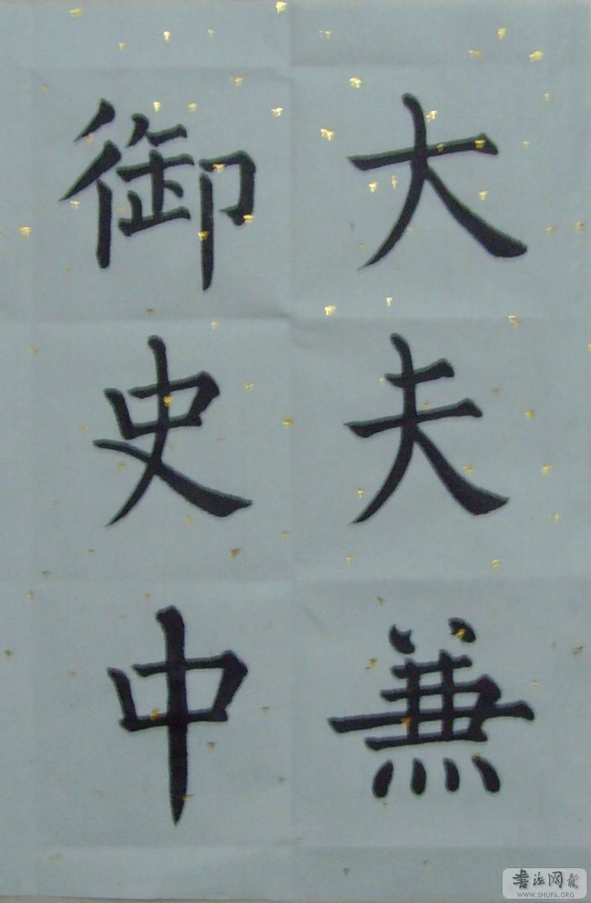 SNV30059.jpg