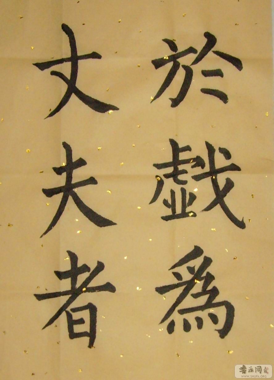 SNV30087.jpg