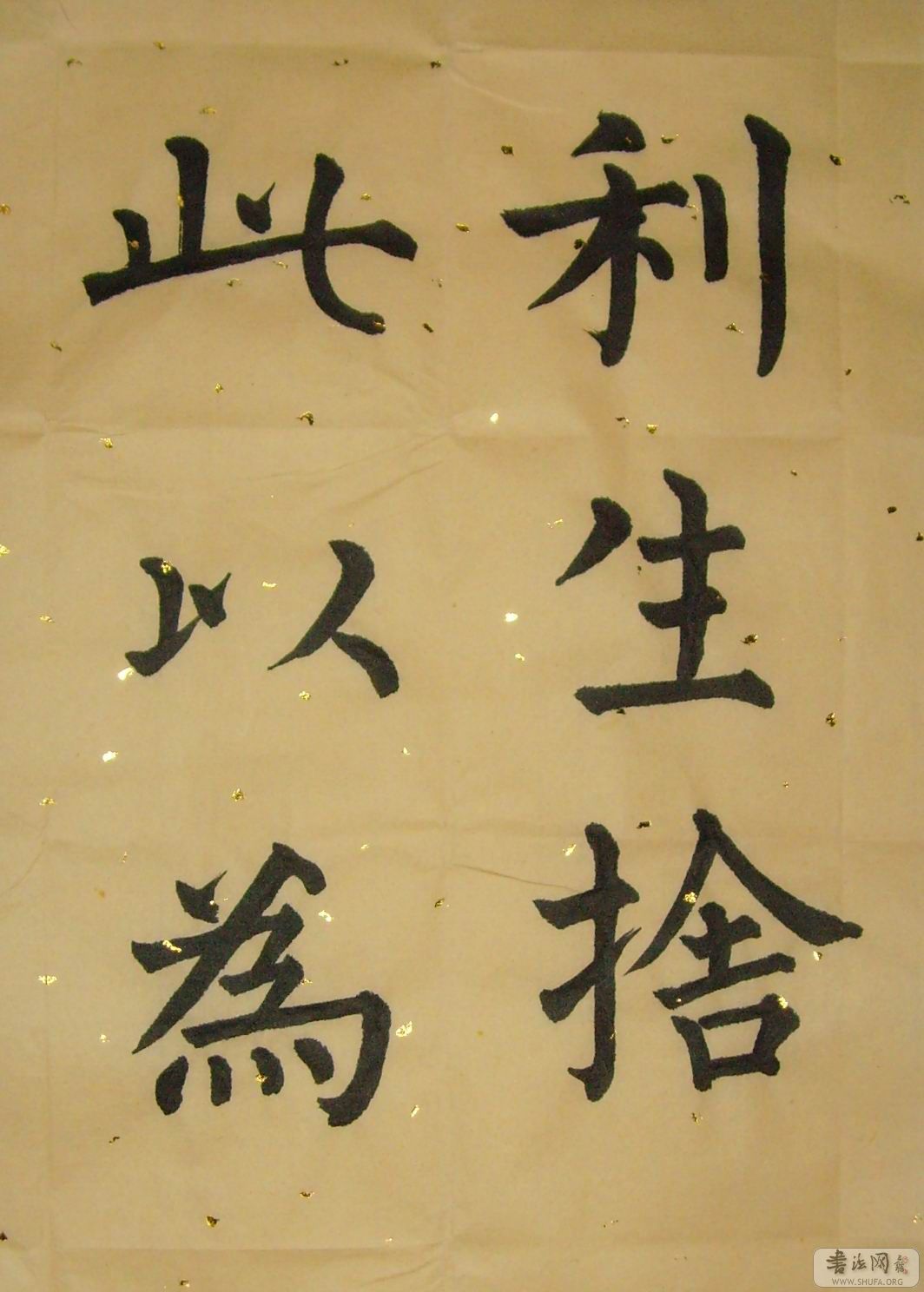 SNV30075.jpg