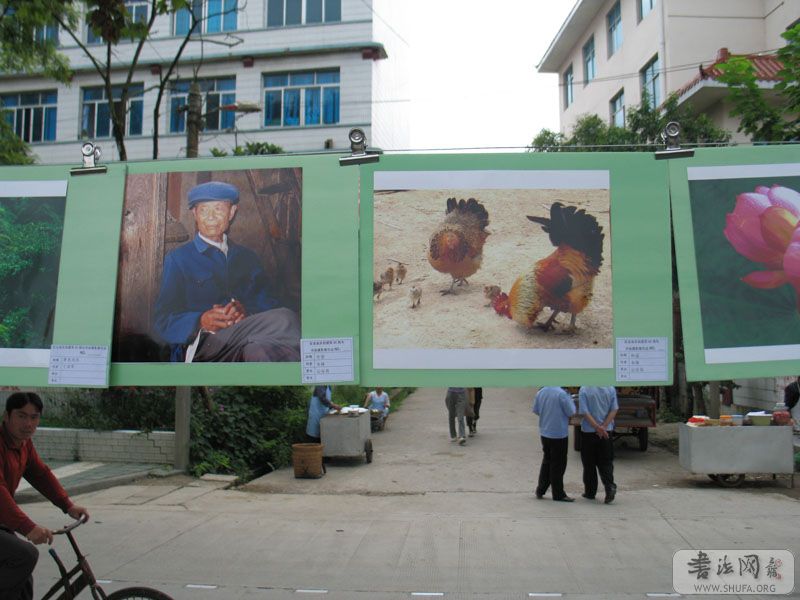 07.jpg