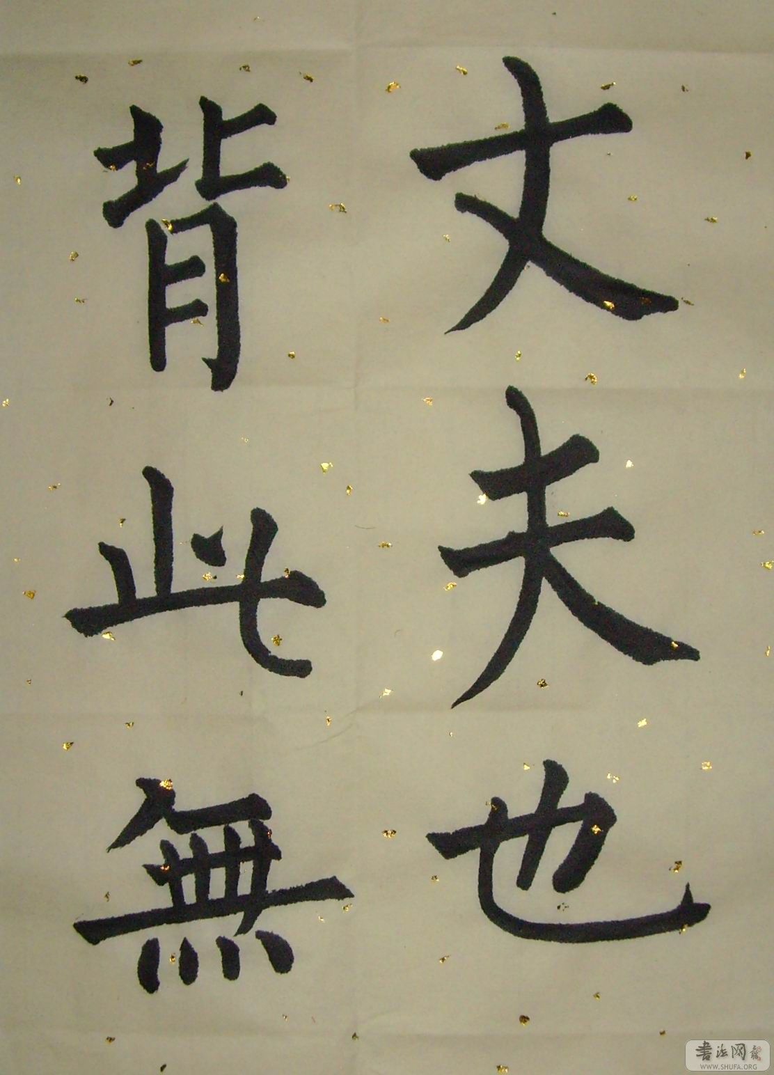 SNV30077.jpg