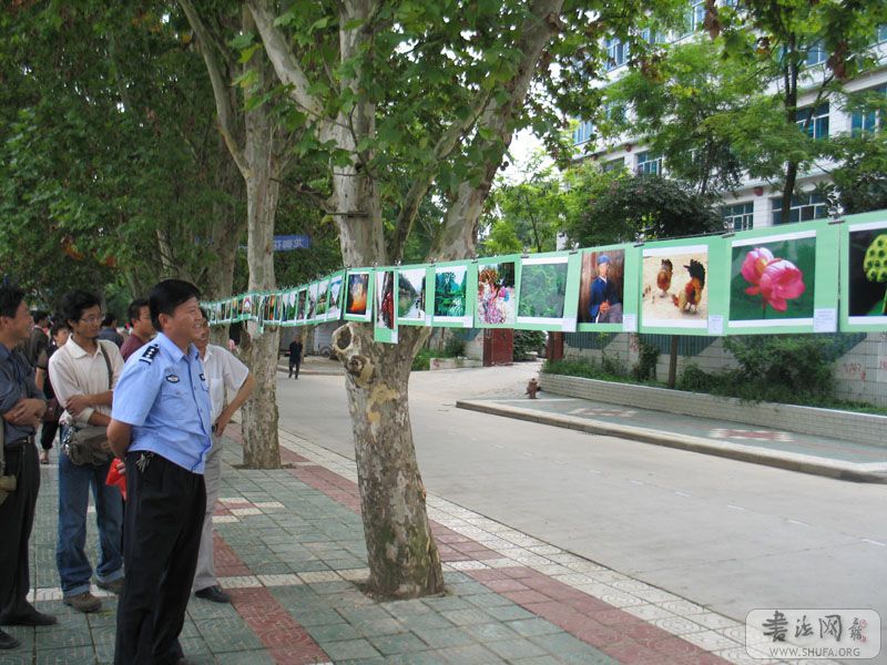 06.jpg