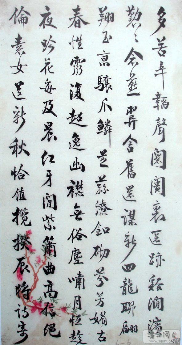 DSC02419.JPG