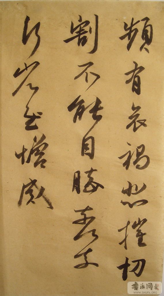 DSCN1247.JPG