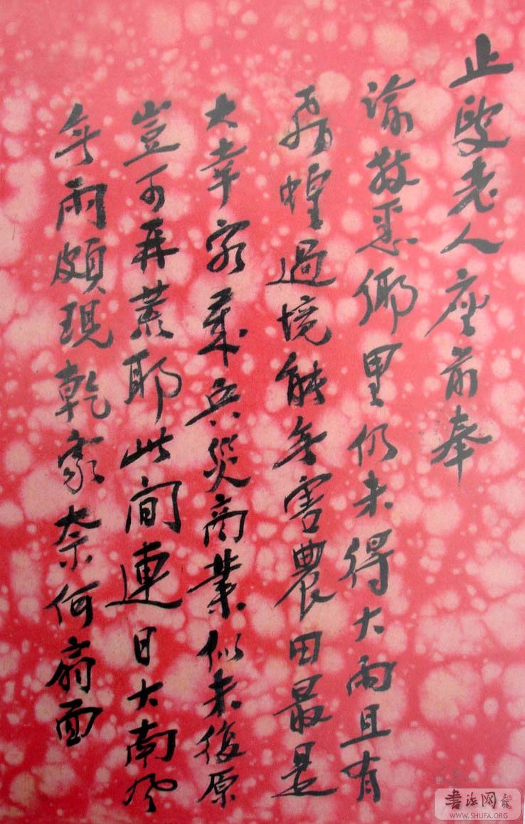 DSC02436.JPG