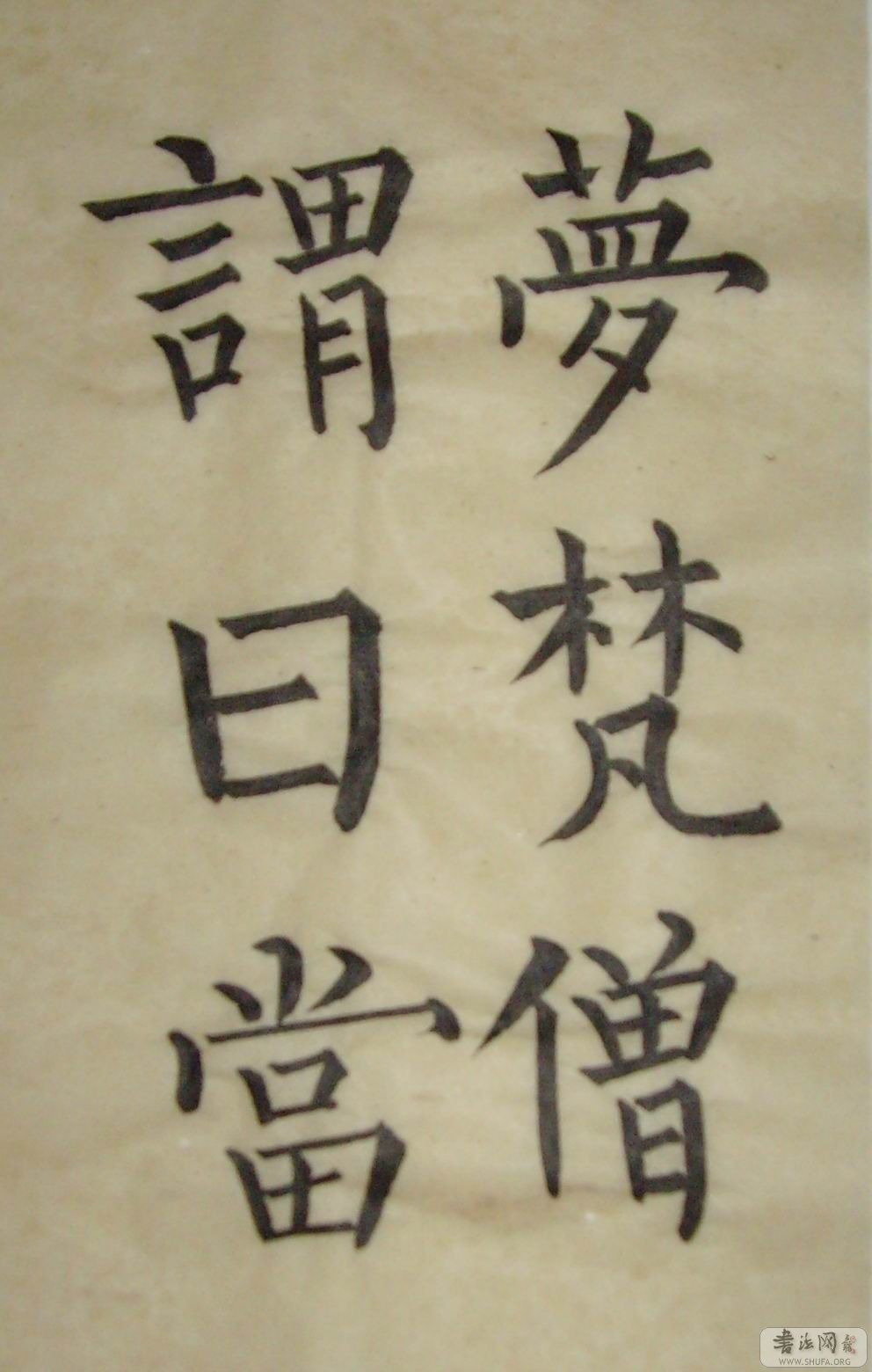 SNV30086.jpg