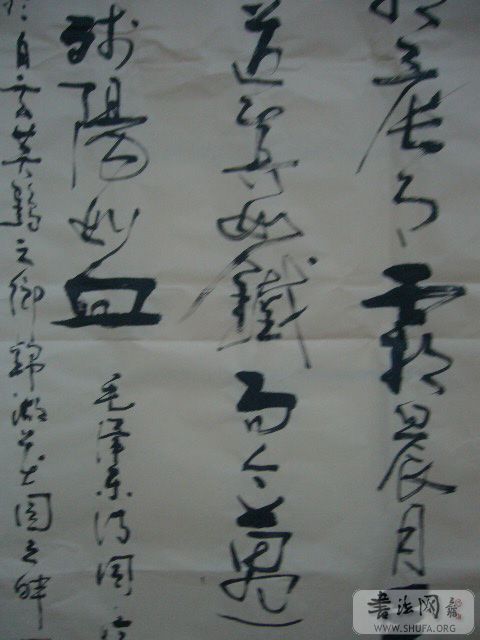 P1000245.JPG
