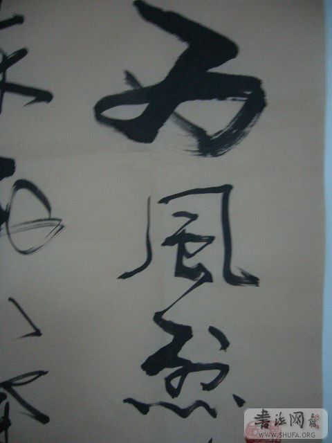 P1000250.JPG