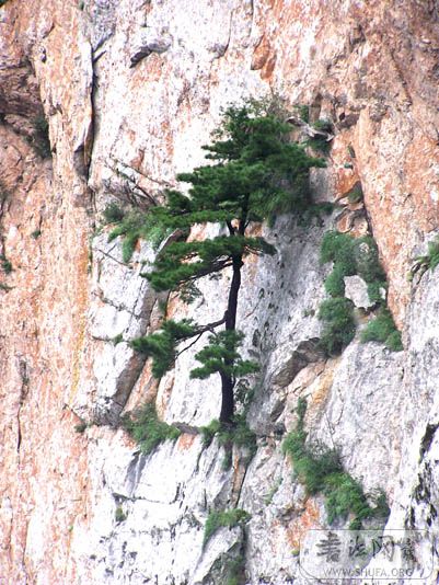 100_6782.jpg