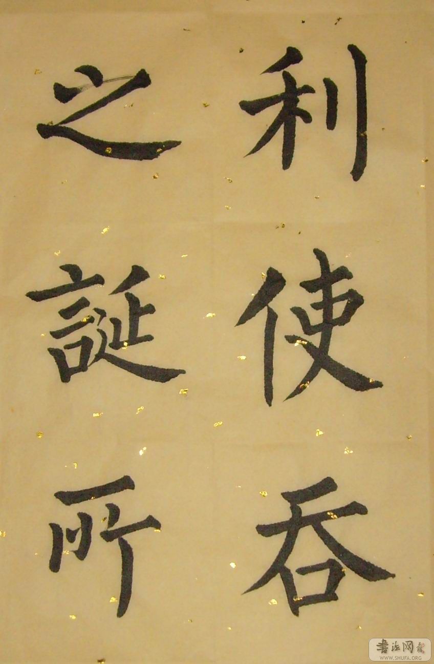 SNV30004.jpg