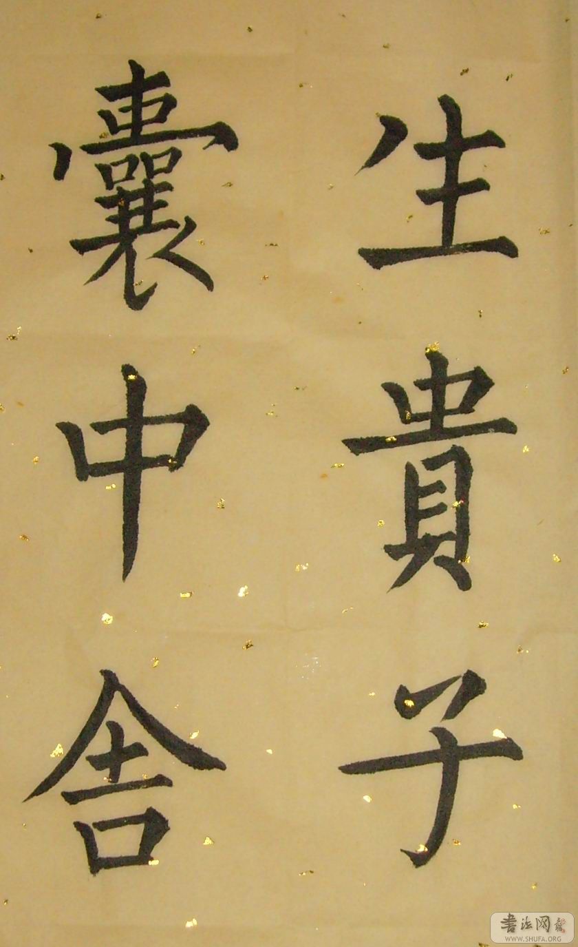SNV30001.jpg