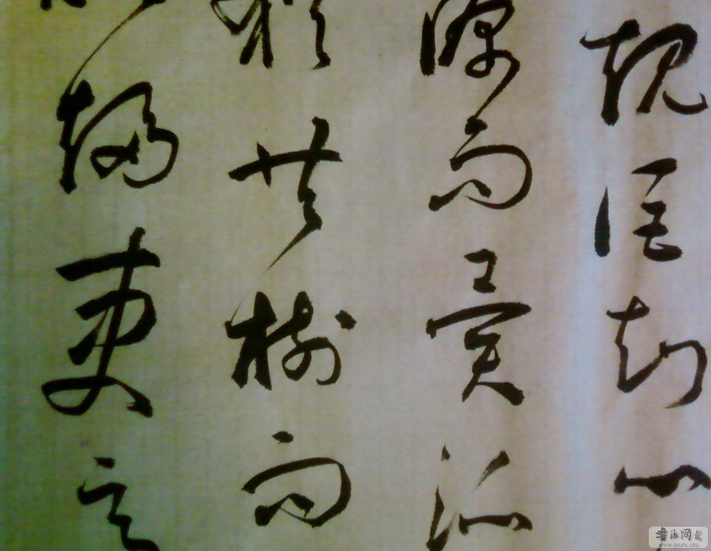 SP_A0210.jpg