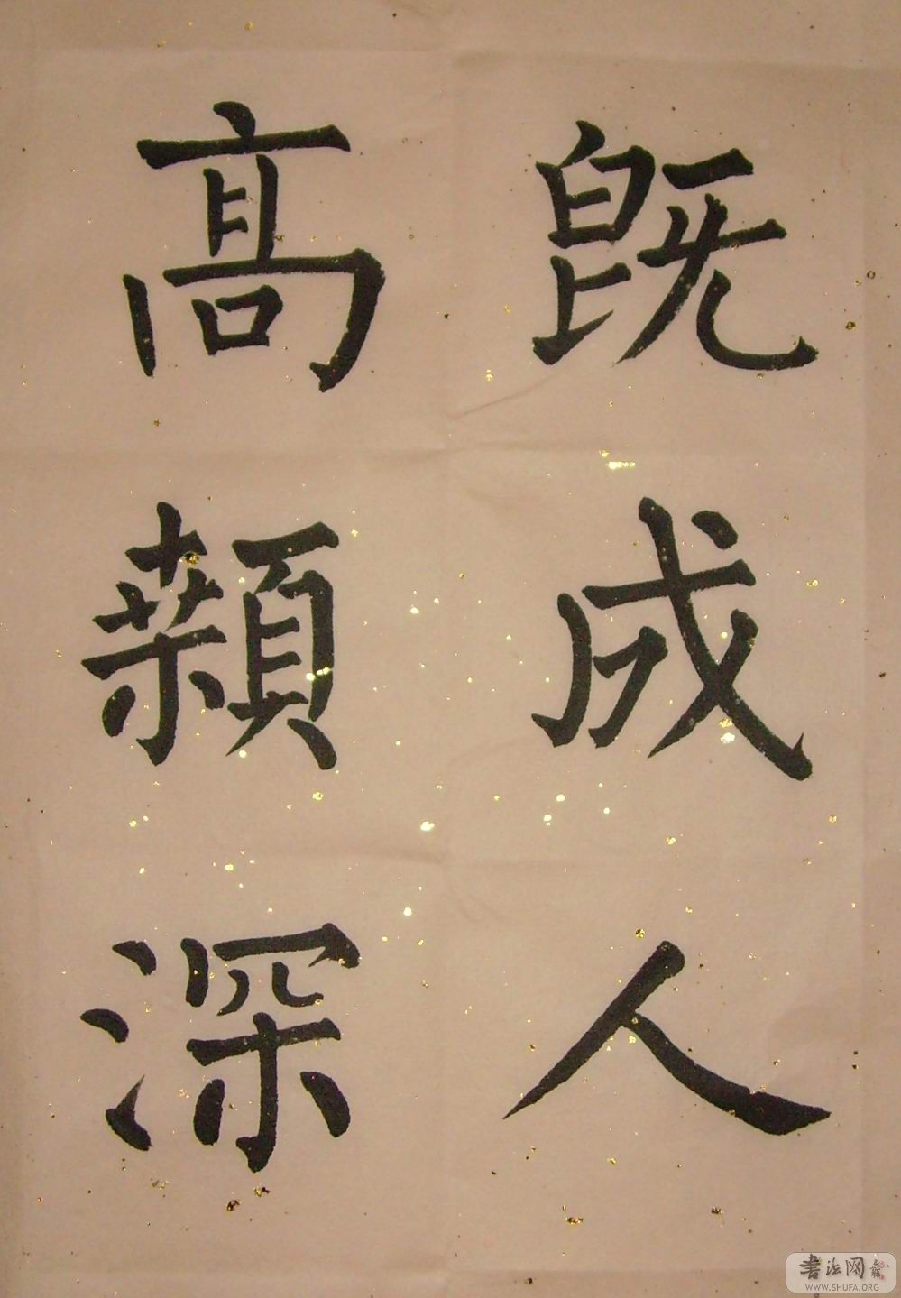 SNV30035.jpg