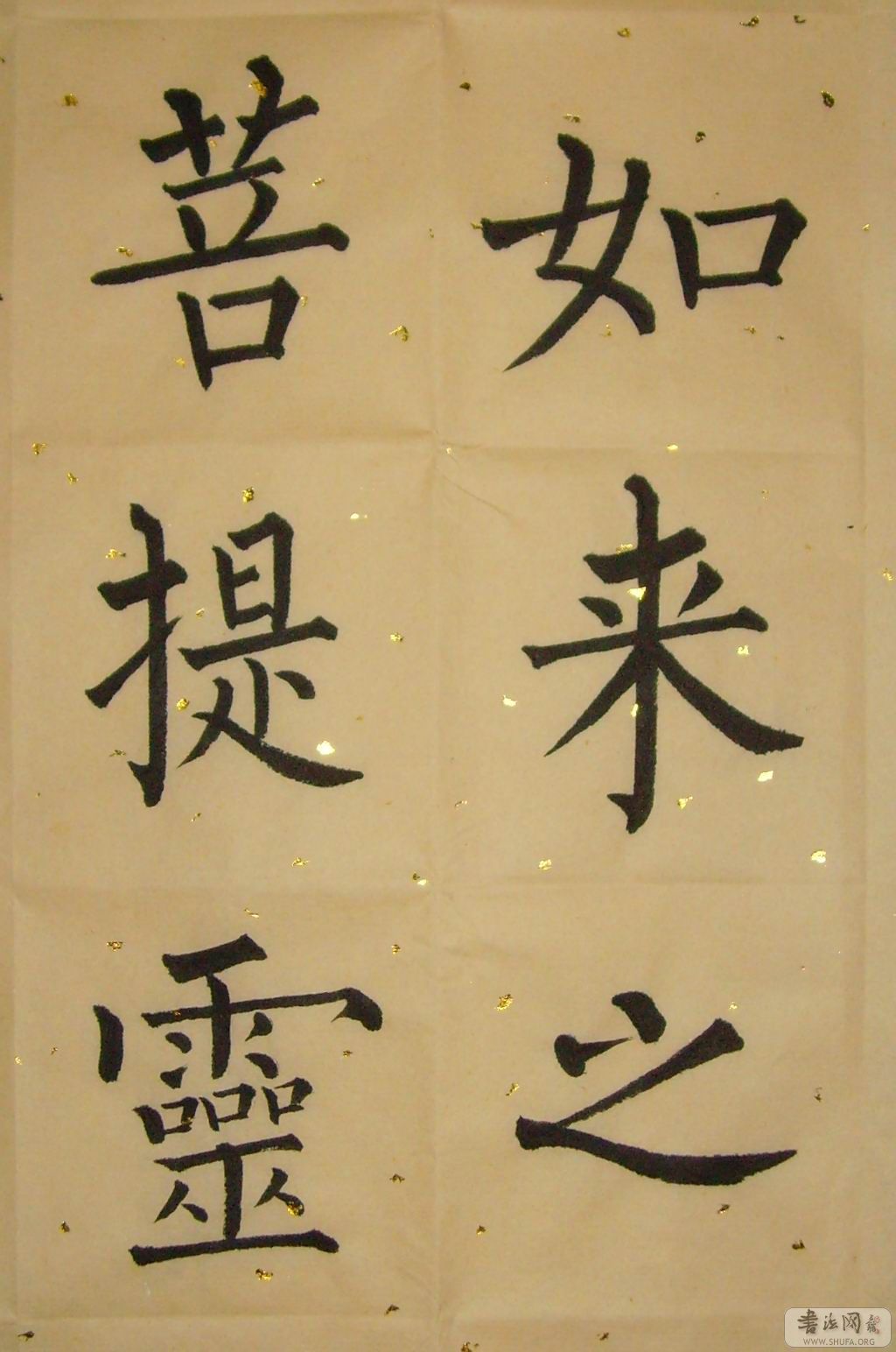 SNV30002.jpg