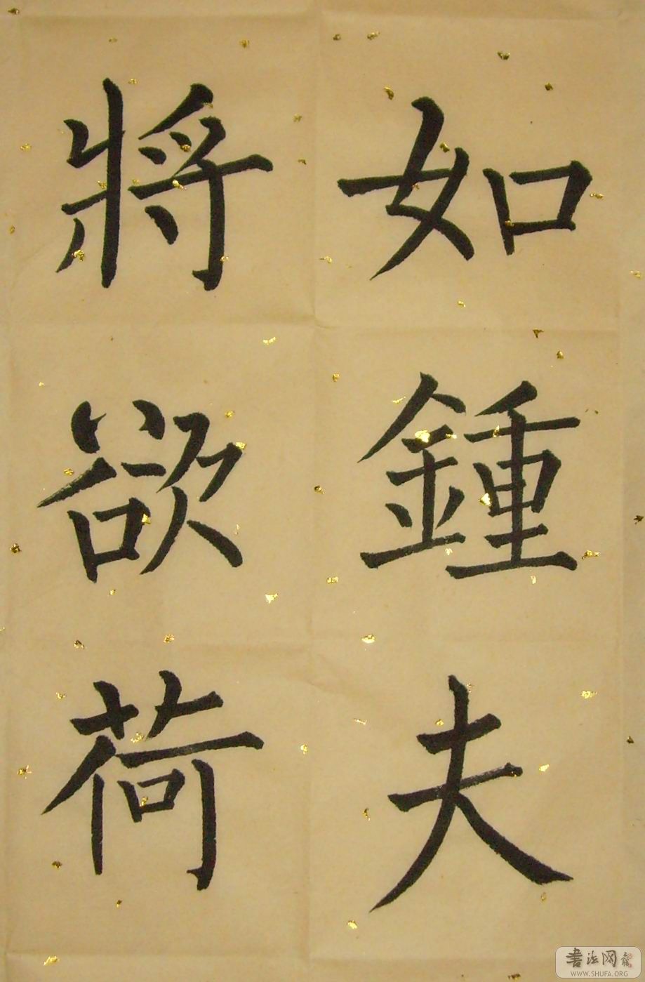 SNV30001.jpg