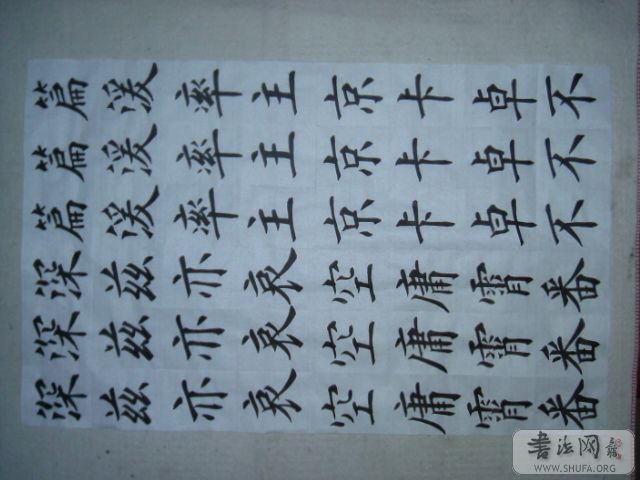 DSCF0042.JPG