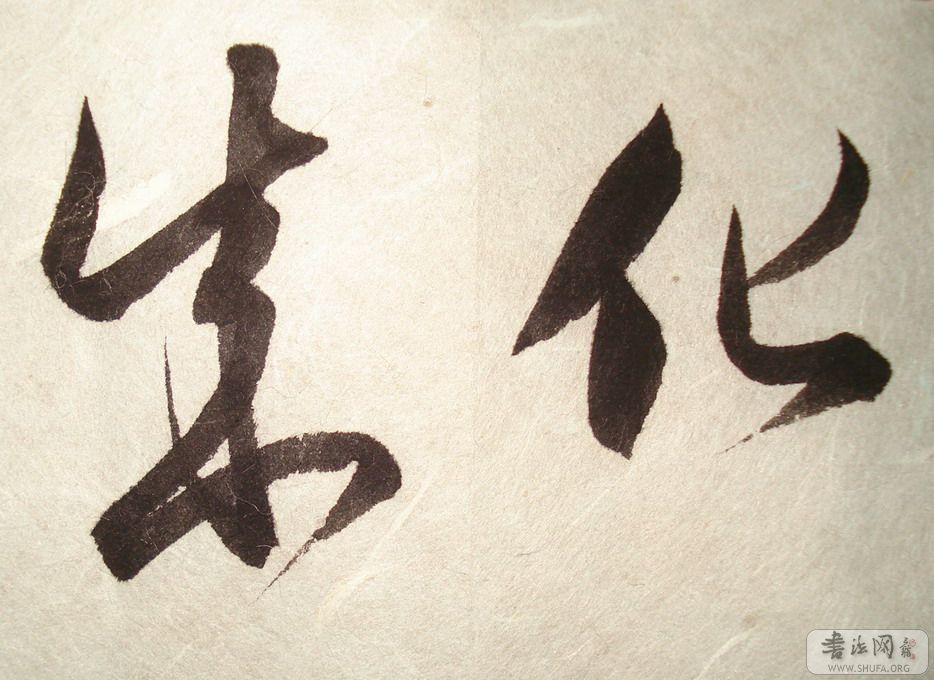 DSC02602_С.JPG