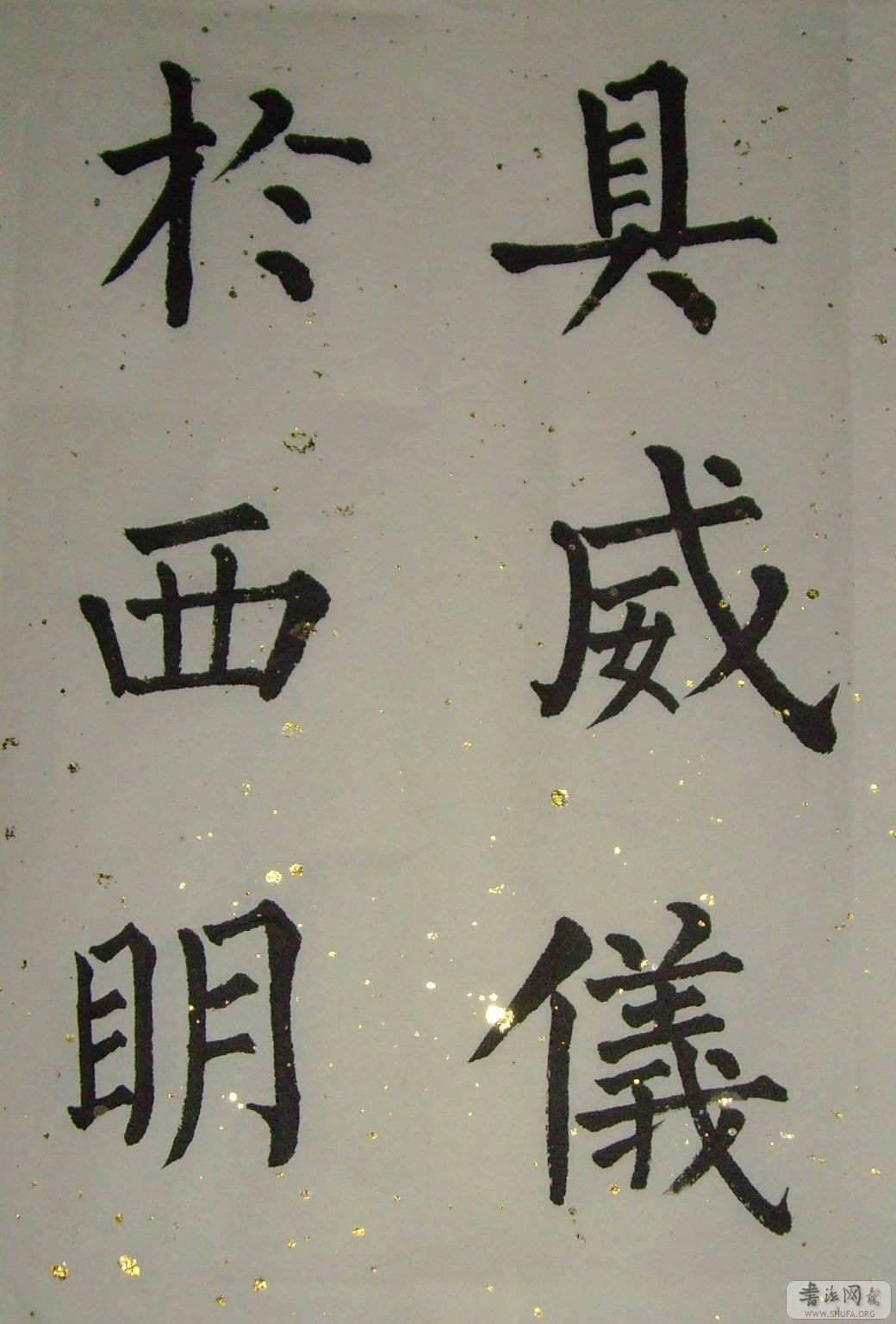SNV30031.jpg