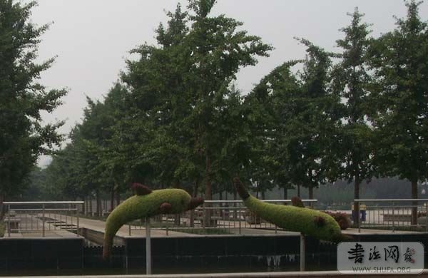 DSCN1898.JPG