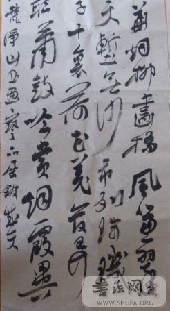 DSCF3059.JPG