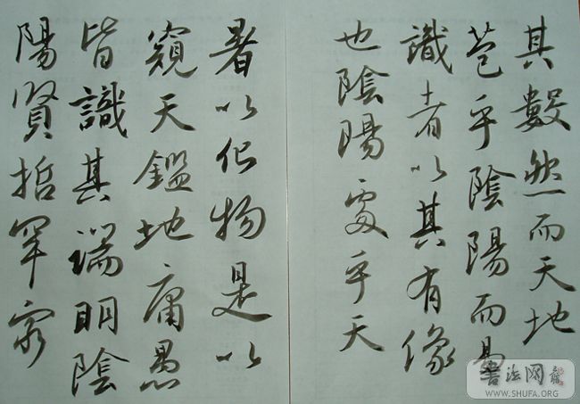 P1010174.JPG