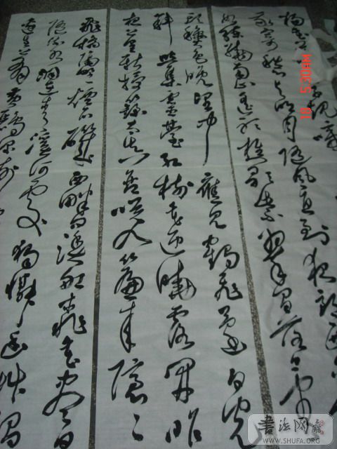 DSC06039.JPG