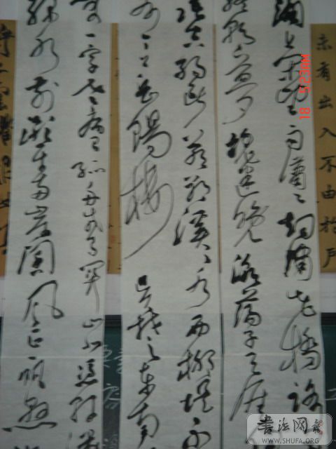 DSC06029.JPG