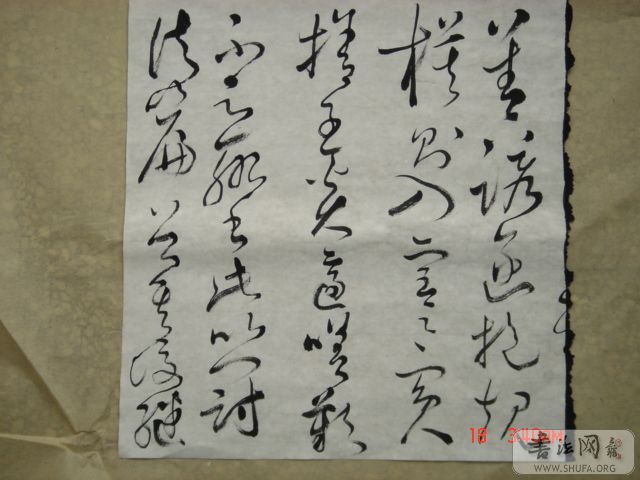 DSC06002.JPG
