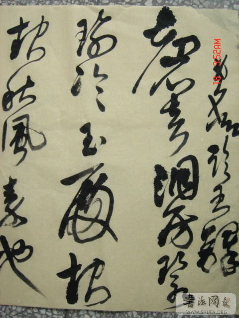 DSC06008.JPG