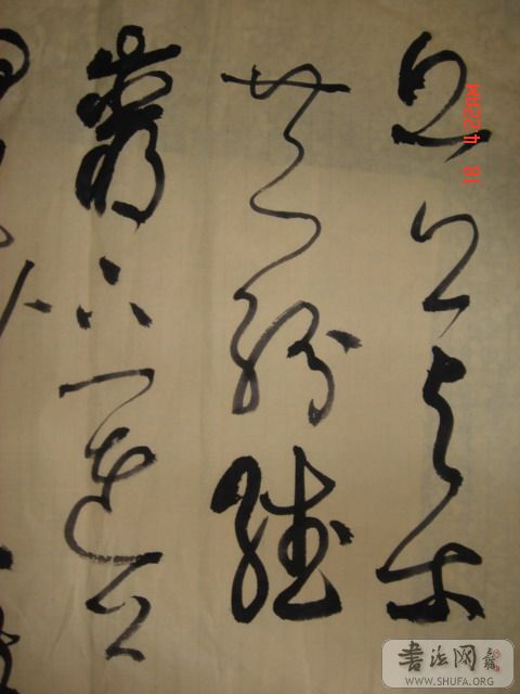 DSC06020.JPG