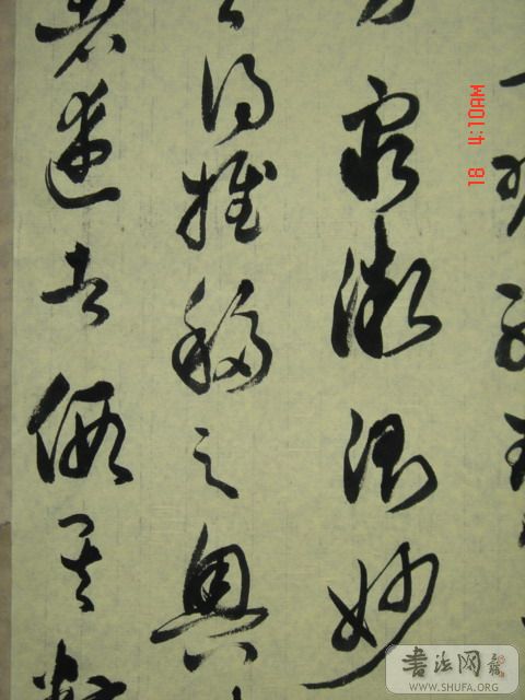 DSC06013.JPG