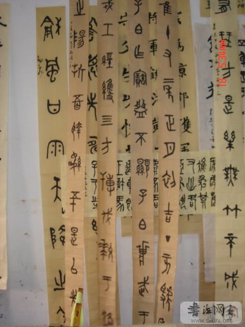 DSC06040.JPG