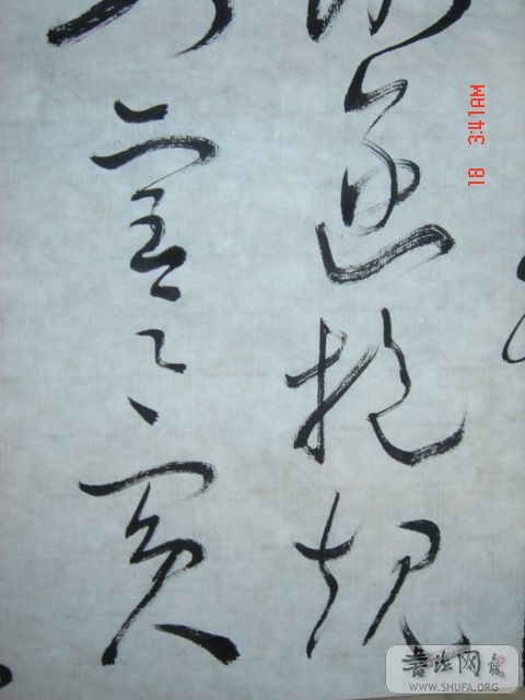 DSC06004.JPG