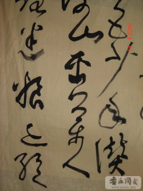 DSC06019.JPG