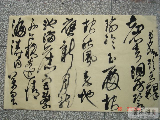 DSC06007.JPG