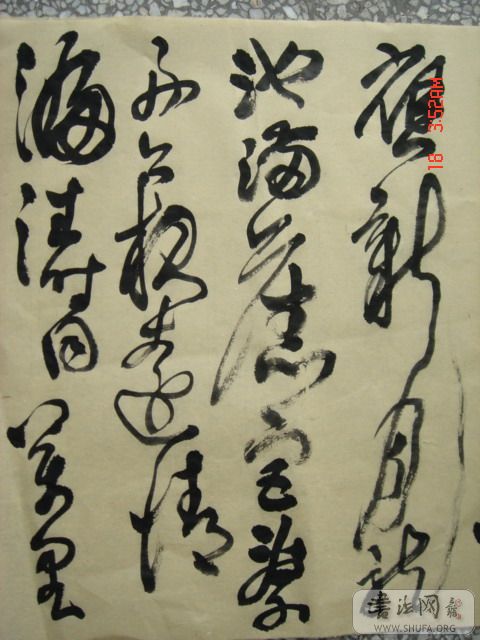 DSC06010.JPG